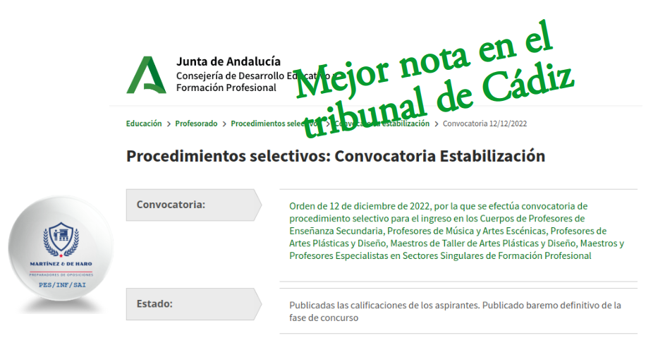 SAI: Mejor nota del tribunal de Cádiz